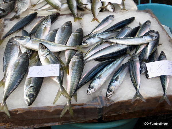 13 Catania Fish Market