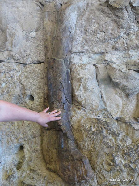 Dinosaur National Monument. Fossil Bone quarry site