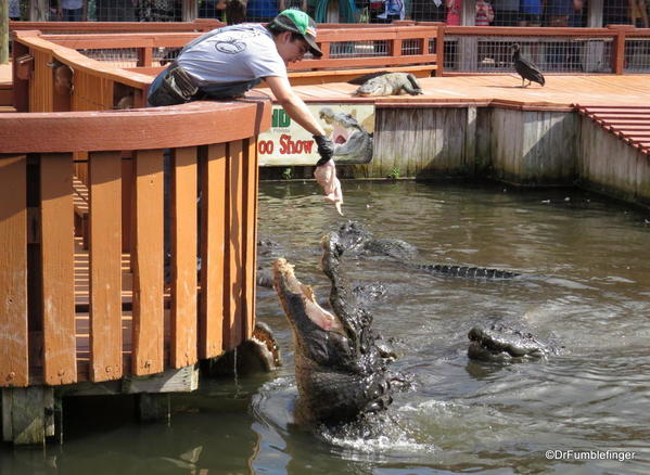 Gatorland