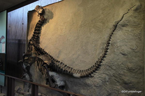 Dinosaur National Monument. Fossil Bone quarry site