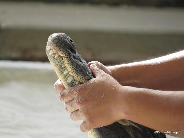 Gatorland