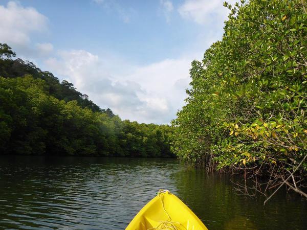 16. Kayaking in the mangroves, Kohn Kod, Thailand