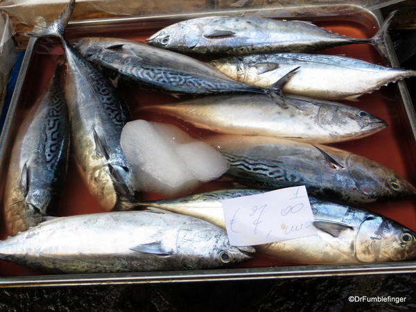 16 Catania Fish Market