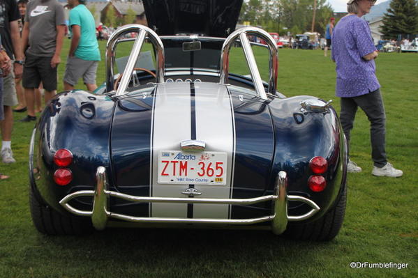 1965 Shelby Cobra (Replica) (9)