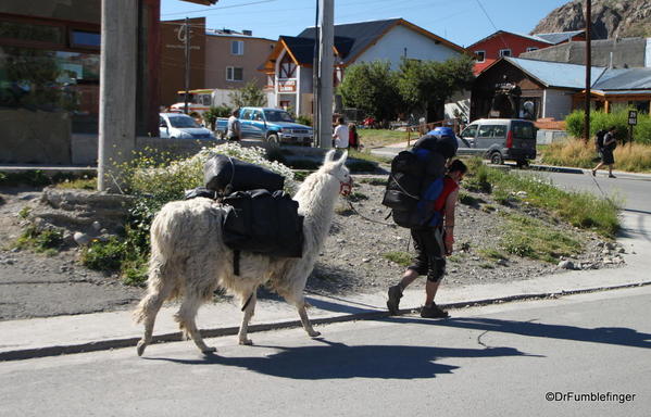 19a El Chalten 2014 (245)