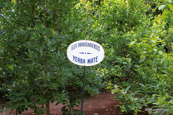 032 Buenos Aires Jardin Botanico 2014. Mate