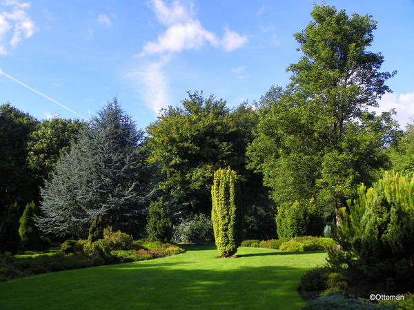 Merrion Square