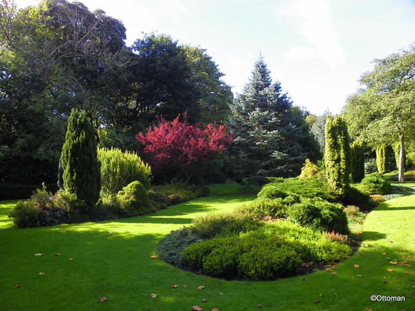 Merrion Square