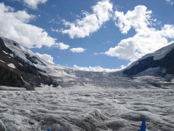 The surface of the Glacier, Columbia Icefield