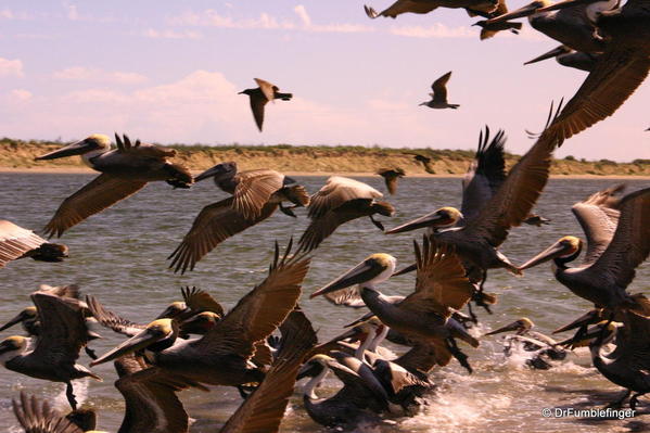 Baja-California-magdalena-bay-2005-005