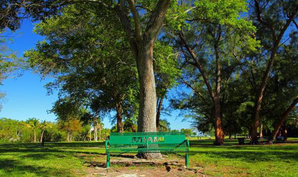 David_Kennedy_Park_Coconut_Grove