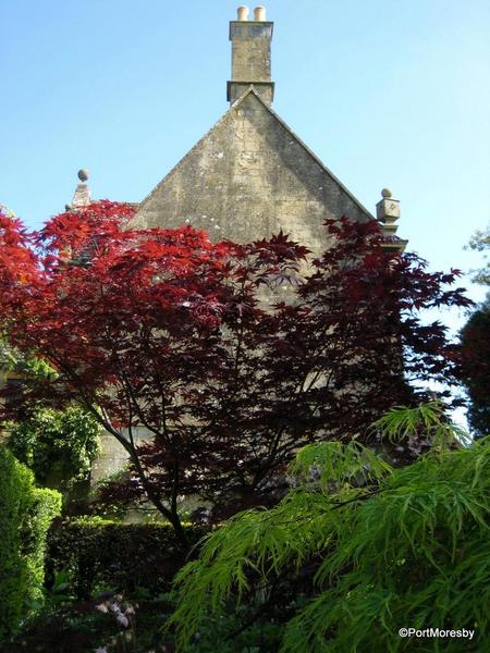 Hidcote11