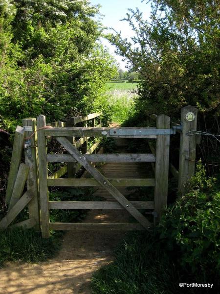 Hidcote3