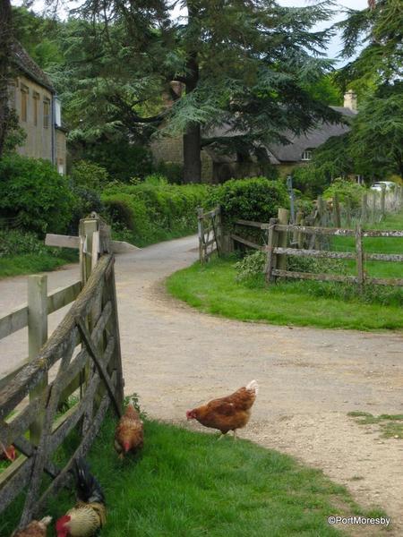 Hidcote6