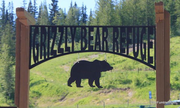 Grizzly Bear Refuge, Golden B.C.