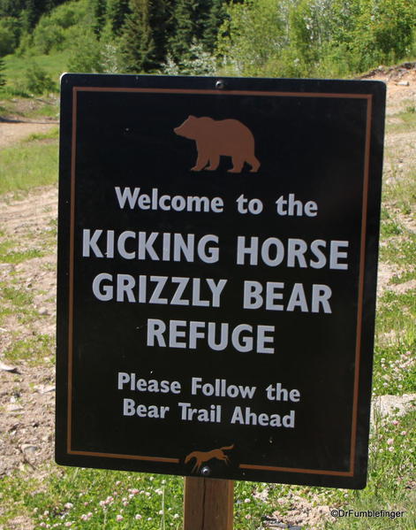 Grizzly Bear Refuge, Golden B.C.