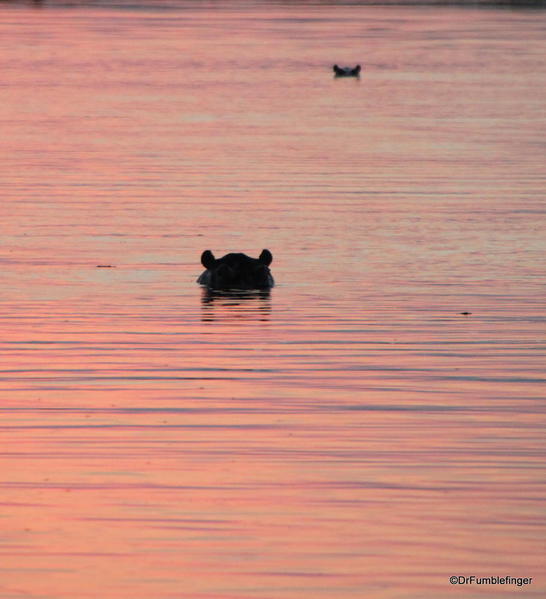 Hippo Pool, Sandibe Concession, Botswana