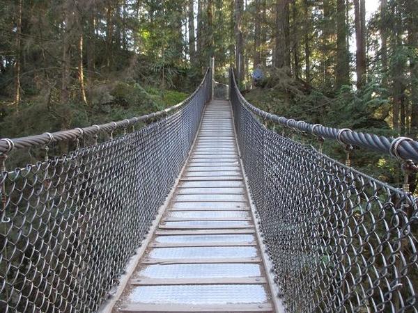 Lynn-Canyon-1