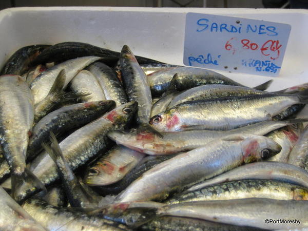 Sardines