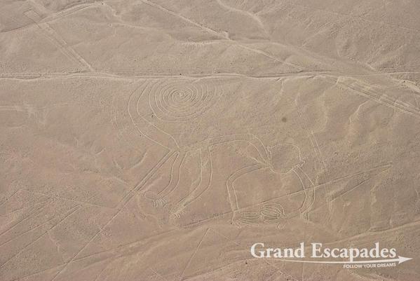 Nazca-Lines-102