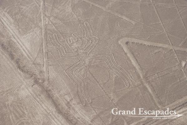 Nazca-Lines-103