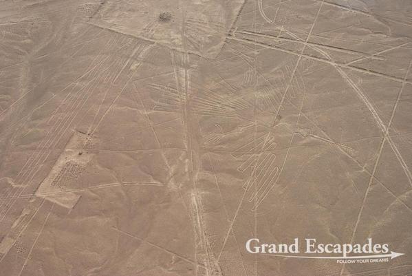 Nazca-Lines-104