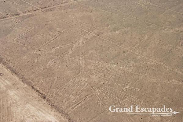 Nazca-Lines-106