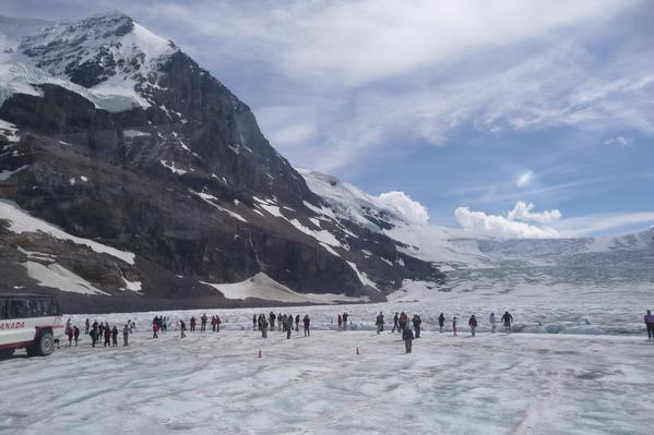 The surface of the Glacier, Columbia Icefield