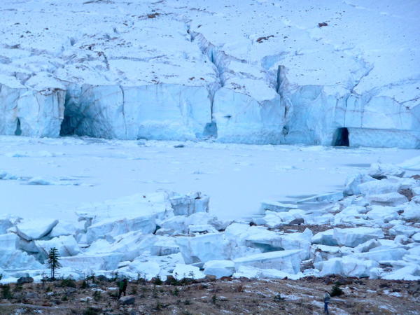 The Columbia Icefields