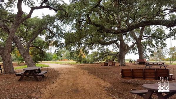 Texas-Hill-Country-LBJ-Wildlife-Trail