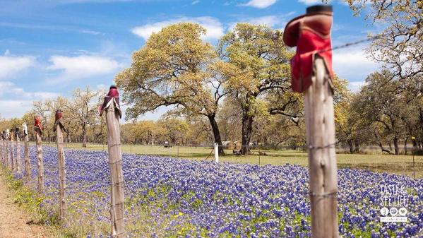 Texas-Hill-Country-Willow-Creek-Loop