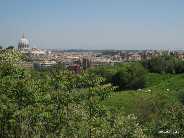 Trastevere14