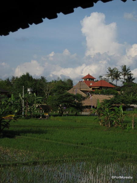 Ubud16