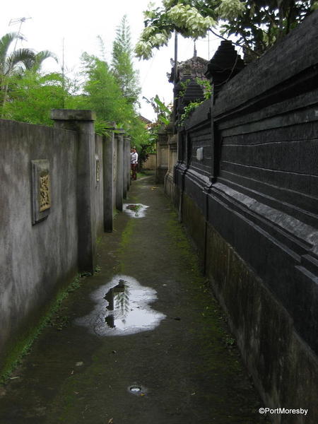 Ubud2