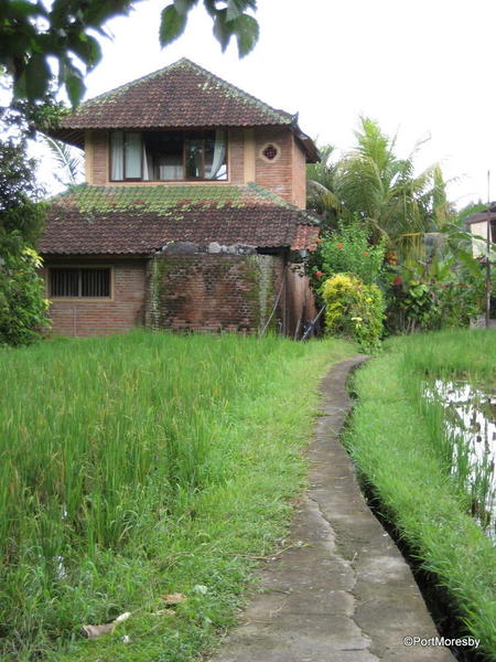 Ubud4