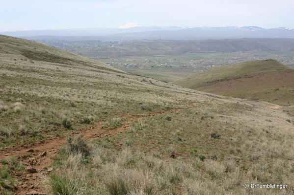 Yakima Rim Skyline Trail-- Yakima View