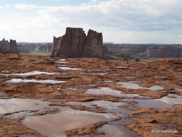 Puddles of rainwater, Arches National Park