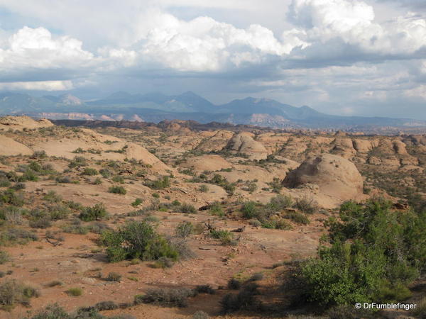 Petrified Dunes, Arches National Park