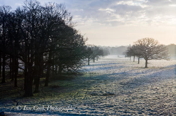 Grounds of Blickling Estate in winter