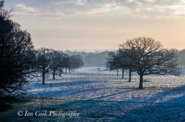 Grounds of Blickling Estate in winter