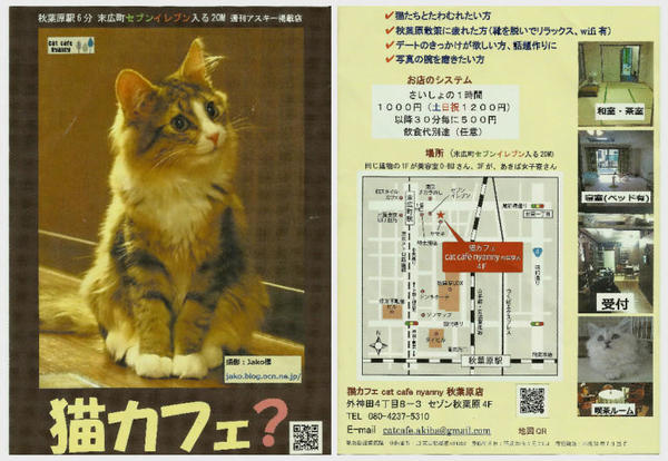 cat-cafe-flyer