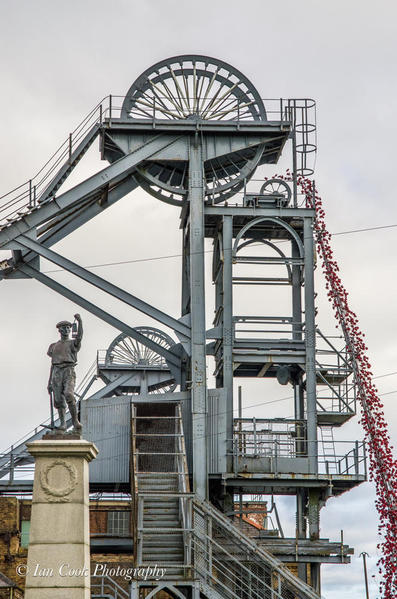 Poppies: Weeping Window at Woodhorn