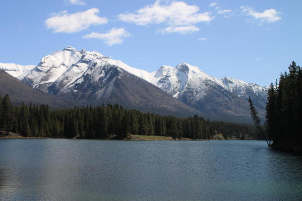 Mountain views from Johnson Lake trail