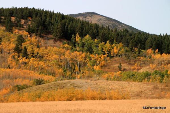 Fall colors, Kananaskis Country