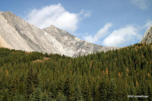 View of Ptarmigan Cirque from Highwood Meadows, Kananaskis Country