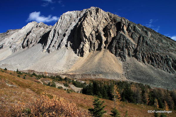 Fall colors, Ptarmigan Meadows, Kananaskis Country