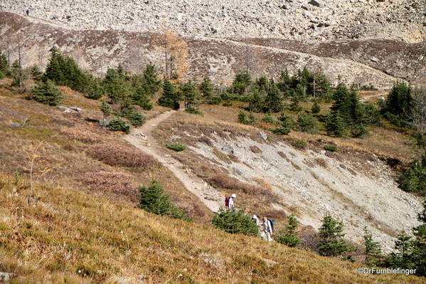 Trail through Ptarmigan Meadows