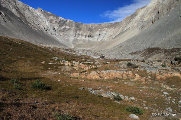 View of Meadow and Ptarmigan Cirque