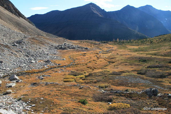 Fall colors in Ptarmigan Meadows