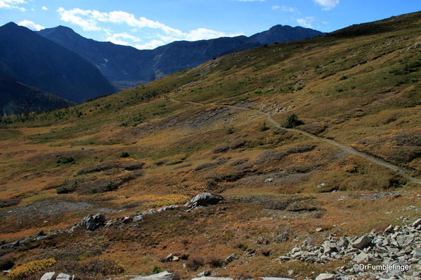 Trail through Ptarmigan Meadows,Kananaskis Country